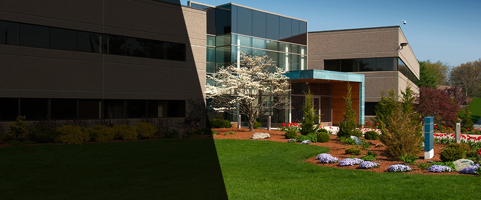 Sparrows Point Landscapers