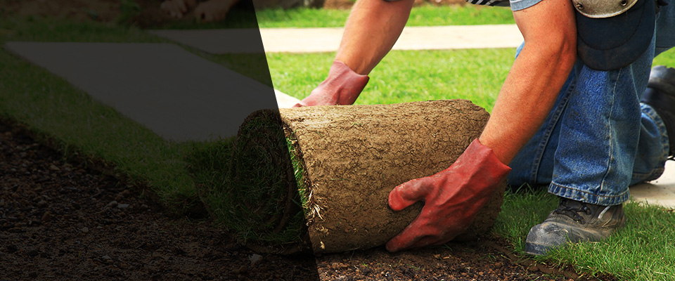 Sparrows Point Landscapers